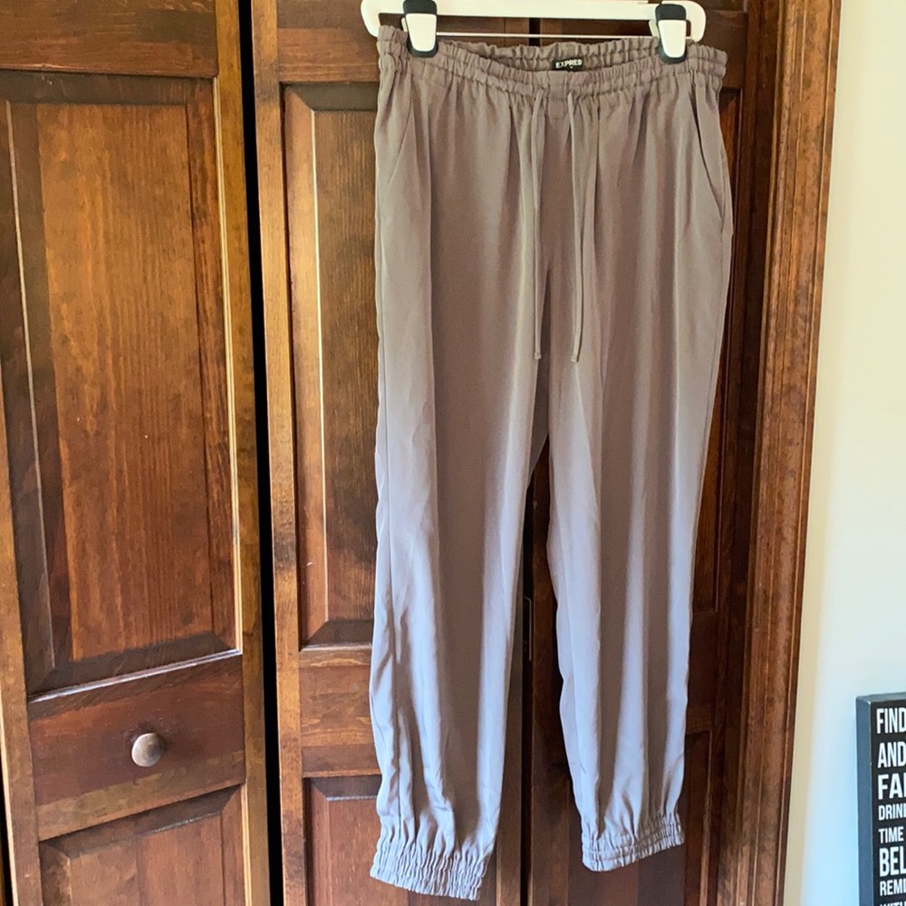 Express jogger pants